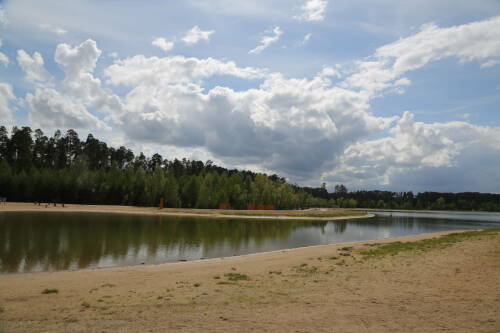 По жалобам на мор рыбы на Лебяжьих озерах экологи проведут проверку