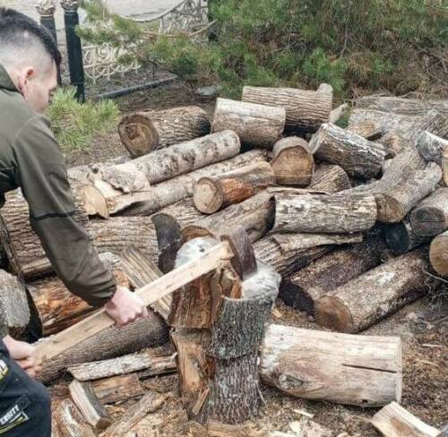 В Альметьевске волонтеры помогли наколоть дрова семье военнослужащего