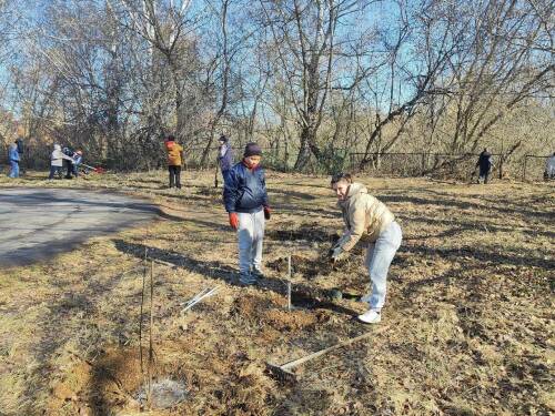 В Лаишевском районе РТ высадили 80 деревьев к 80-летию Победы