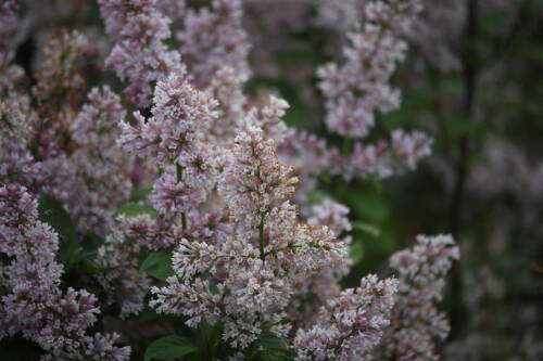 Погода в Татарстане во второй декаде мая останется в пределах климатической нормы