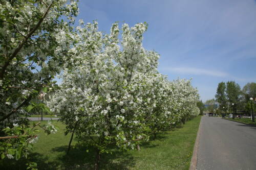 Контрастная погода ожидается 12 мая в Татарстане: минус ночью, до +21 днём
