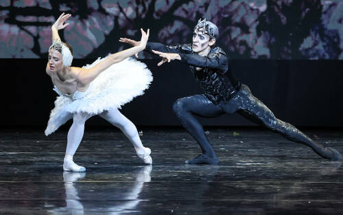 Новое прочтение «Лебединого» и балет «Война и мир»: каким будет 38-й Нуриевский фестиваль