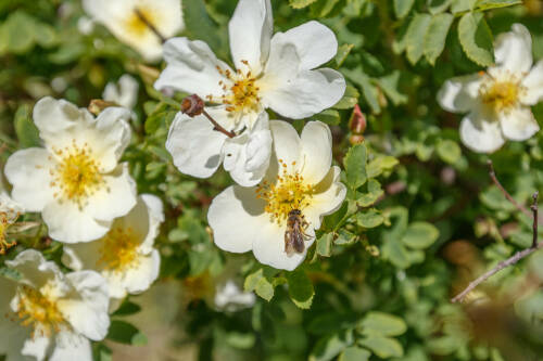 В Татарстане 23 мая ожидаются облачность, порывистый ветер и до +21 градуса
