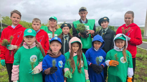 В Ютазинском районе Татарстана высадили 15 саженцев кедра в рамках акции «Сад памяти»