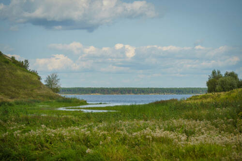 В Росводресурсах назвали ситуацию с уровнем Волги напряженной, но контролируемой