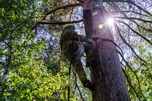 В Татарстане температура поднимется выше +30 градусов