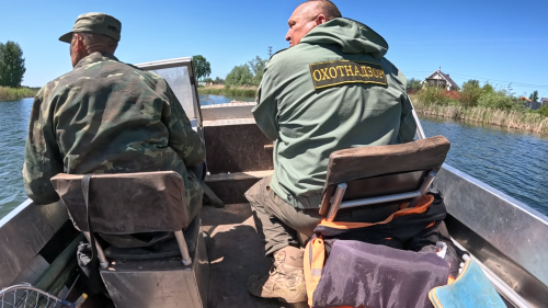 Две крупные сети и 79 раколовок: охотнадзор провел рейд в Нижнекамском районе