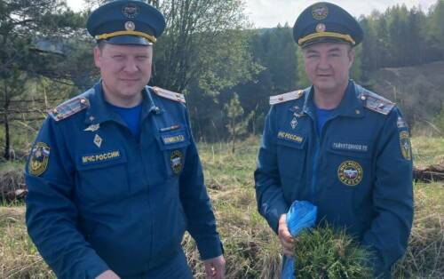 Сотрудники МЧС России из Елабуги присоединились к международной акции «Сад памяти»