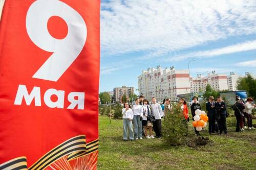 В Нижнекамске высадили 80 голубых елей в честь годовщины Победы