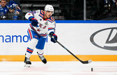 СКА сменит логотип и проведет следующий сезон в «Ледовом дворце»