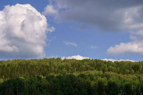 В Татарстане днем прогнозируют сильный ветер и отсутствие осадков