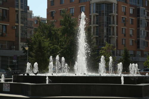 Кинолог предупредил об опасности для собак купания в городских фонтанах