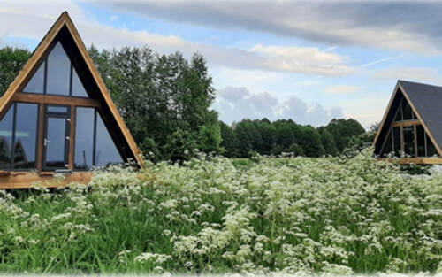 «Шумбутский лес – настоящая тайга»: чем завлекал бизнес глава Рыбной Слободы