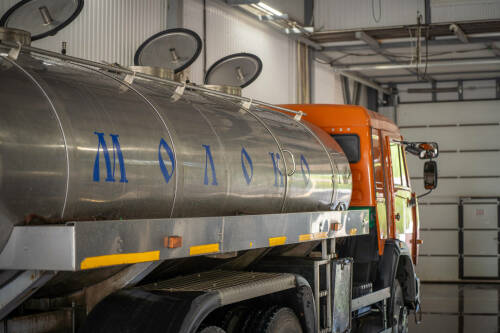 Рыбно-Слободский молочный комбинат за 1,5 млрд рублей откроется в 2026 году