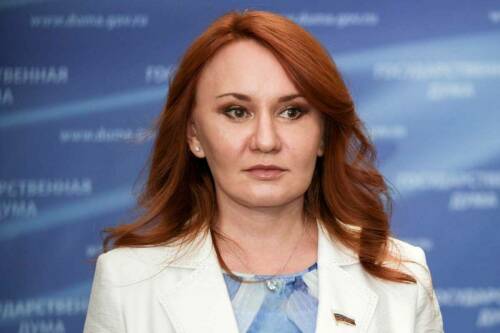 Депутат Бессараб раскритиковала идею взимать налог с бездетных россиян