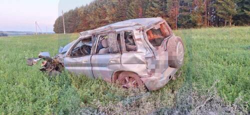 В Балтасинском районе водитель иномарки погиб, вылетев в кювет