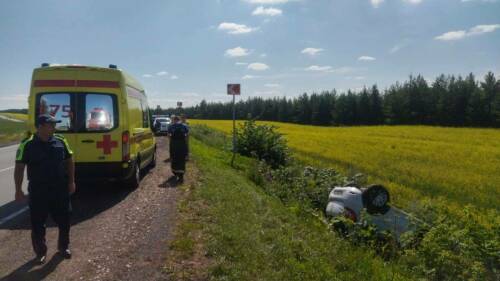В Тукаевском районе легковушка вылетела в кювет, пожилая пассажирка погибла