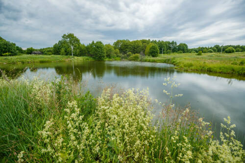 В Татарстане ожидается до +29 градусов без осадков, туман развеется