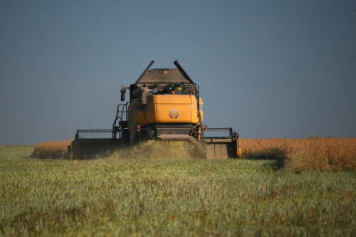 Татарстан два года лидирует в российских рейтингах цифровой трансформации АПК