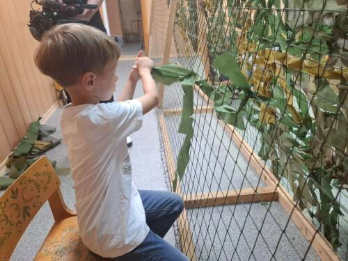 Самый юный помощник фронта: 6-летний Илья из Нижнекамска плетет сети для СВО