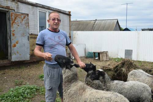 «Вернулся к жизни – и завел хозяйство»: как ветеран СВО из Нурлата нашел себя дома