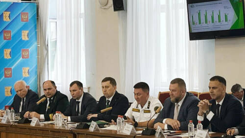 Министр лесного хозяйства РТ представил доклад на заседании Совета Федерации