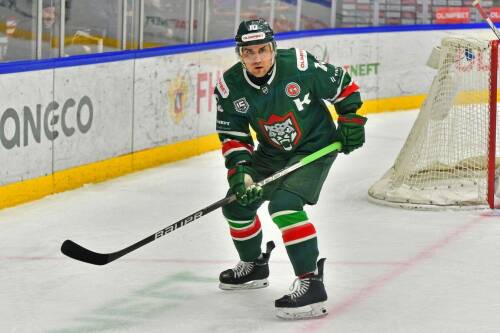 Нападающий Андрей Алексеев завершил карьеру