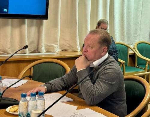 Айдар Метшин призвал расширить формат рабочей группы ГД по защите от бездомных животных