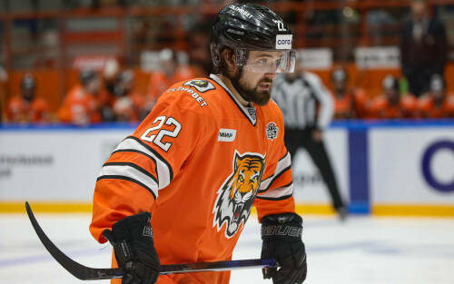 Нападающий «Амура» Барулин перешел в «Нефтехимик»