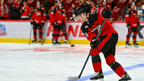 Экс-форвард «Авангарда» Владимир Ткачев официально перешел в «Металлург»