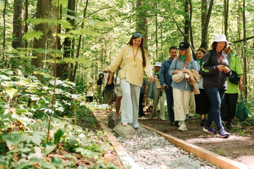 Цифровой детокс на природе: как организована новая экотропа в лесопарке «Лебяжье»