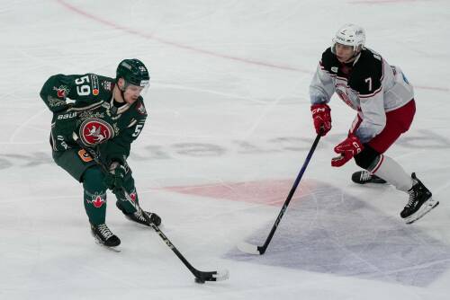 Рябыкин рассказал, почему «Ак Барс» нельзя было перевести на «Запад» вместо «Витязя»