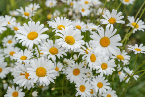 Жаркий день и возможные грозы на западе Татарстана ожидаются 2 августа