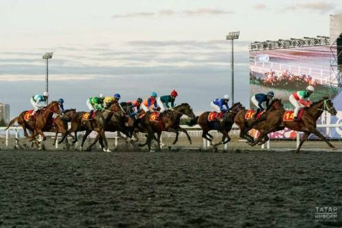 Сегодня в Казани пройдут скачки России на Приз Президента РФ