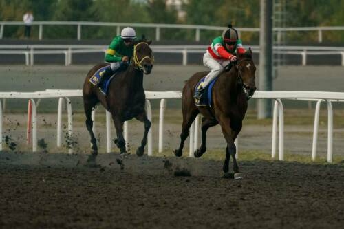 Всероссийские скачки, визит Раиса РТ: как в Казани прошел День города и Республики