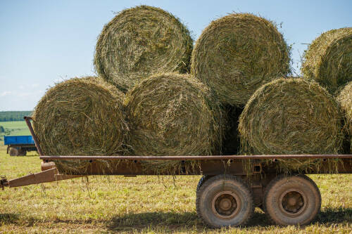 Минниханов проверил уборочные работы на полях в нескольких районах Татарстана