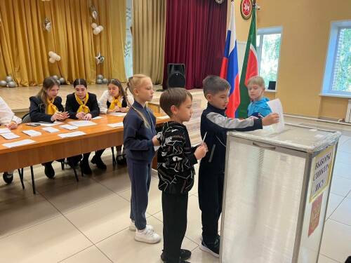 Единый день голосования в Челнах: выборы Раиса, депутатов и школьных лидеров