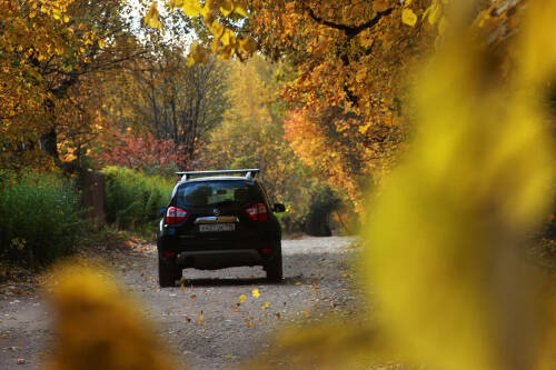 Автоюрист Славнов объяснил, когда за занятие любовью в машине посадят в тюрьму на 8 лет