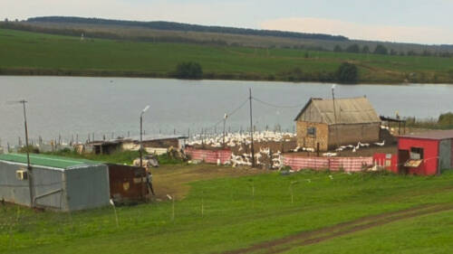 Доступ к пруду ограничили в Азнакаевском районе РТ