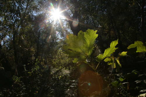 Синоптик Ильин спрогнозировал теплую погоду в Татарстане в выходные