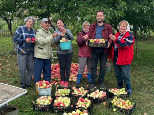 Яблоки для бойцов: 83-летний альметьевец отправил урожай в зону СВО