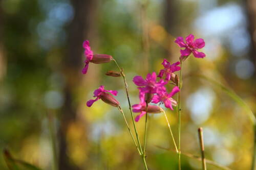 В Татарстане ожидается до +25 градусов и переменная облачность