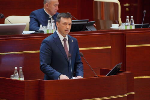 Многодетные семьи в Татарстане смогут получить деньги взамен земельных участков