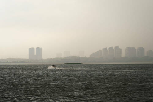 Небольшие дожди и до +11 градусов прогнозируют в Татарстане 28 сентября