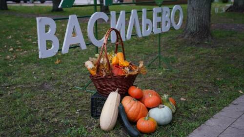 «Лучший поселок нашей республики»: в Васильево подвели итоги «Нашего двора»