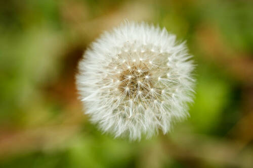 На следующей неделе в Татарстан придет «бабье лето»