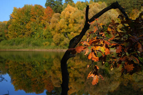 Синоптик Шувалов спрогнозировал двухнедельное тепло в Татарстане