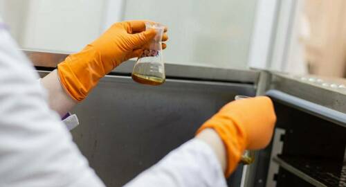 В Татарстане разрабатывают условия обращения с побочными продуктами животноводства