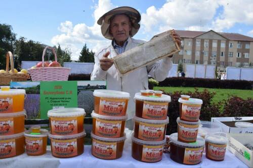 Более двух тонн сладкого урожая: в Нурлате прошел фестиваль меда