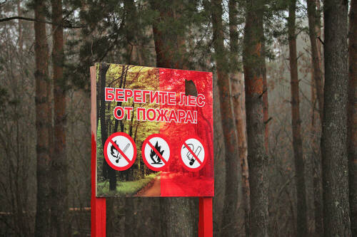 В Татарстане ввели штормовое предупреждение из-за высокой пожароопасности лесов